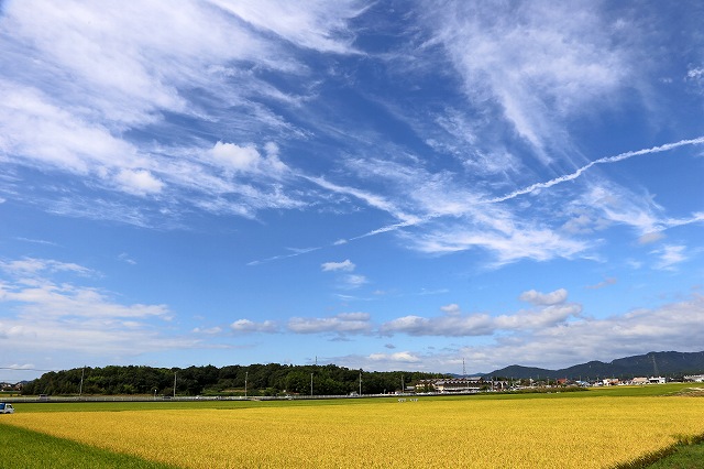a0242438_1834185.jpg