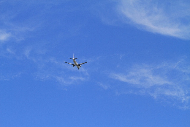 a0242438_18361185.jpg