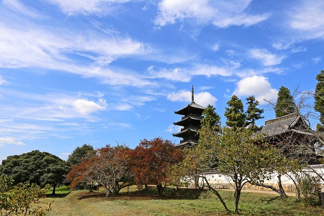 a0242438_1836166.jpg