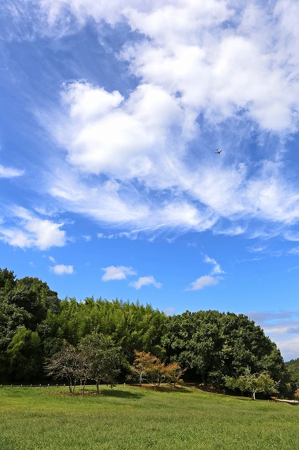 a0242438_1836466.jpg