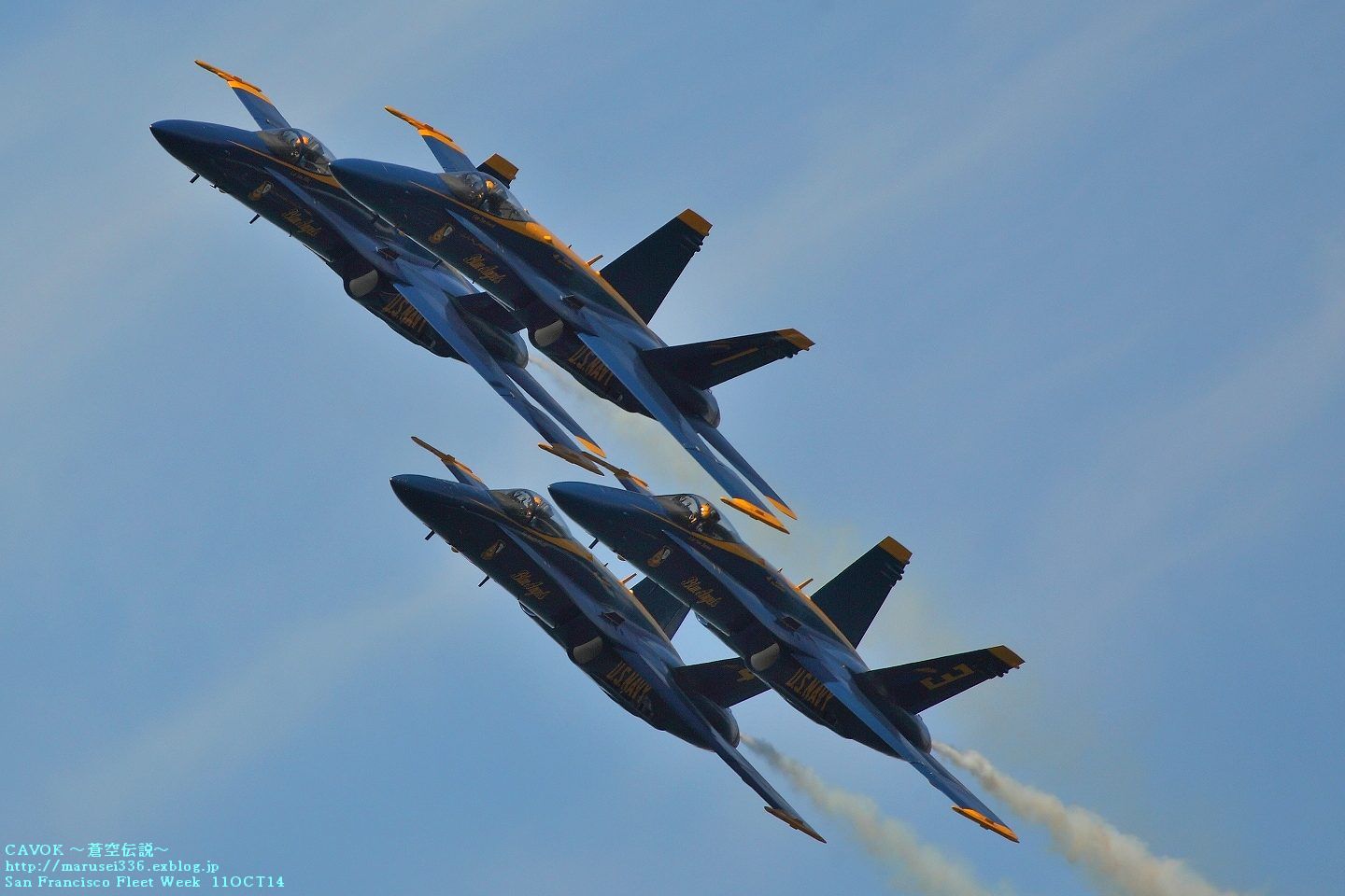 d0193838_733374.jpg