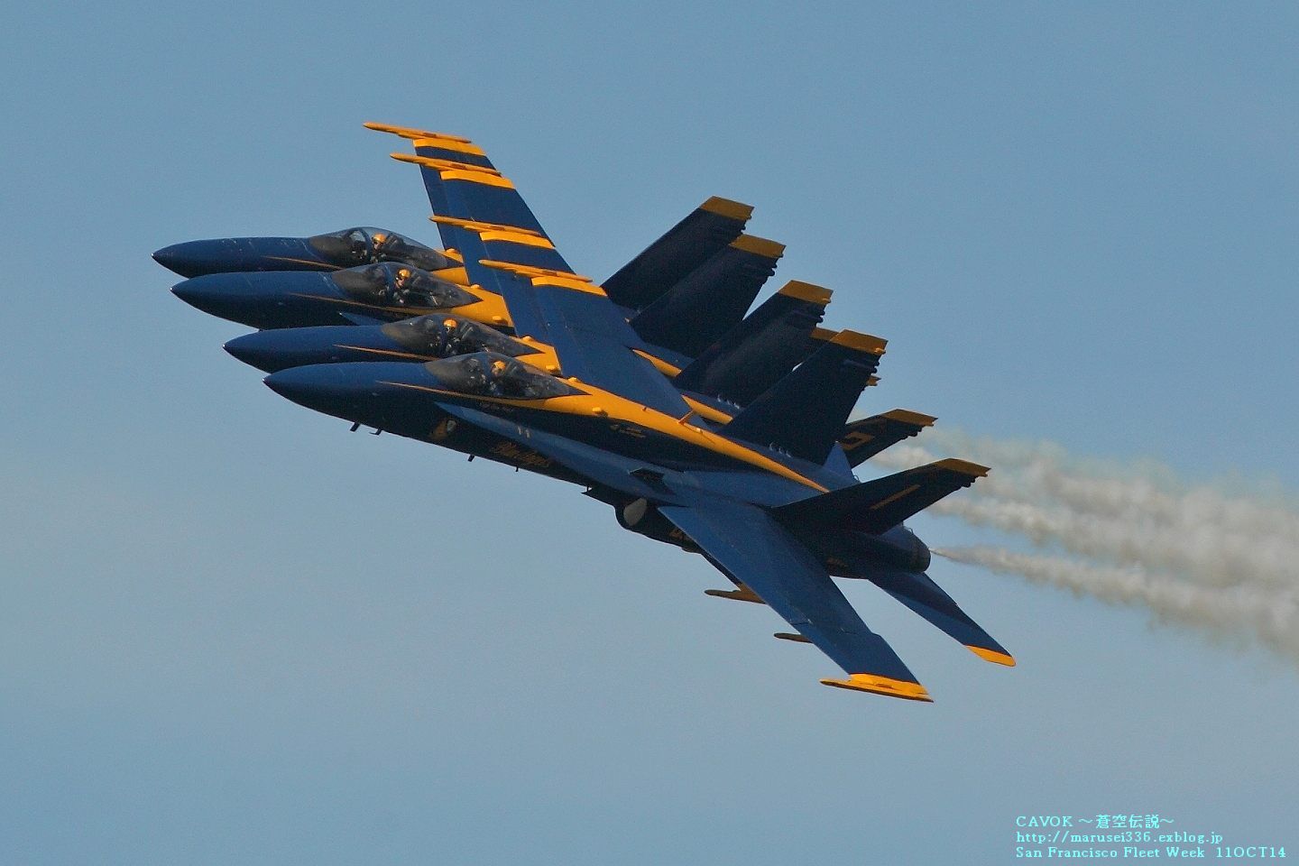 d0193838_7361744.jpg