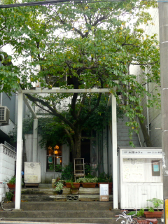 b0325640_16492735.jpg