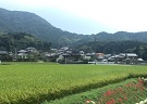 c0153040_20512998.jpg