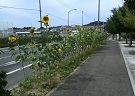 c0153040_20571524.jpg