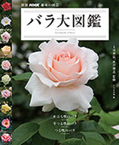 a0258549_17264237.jpg