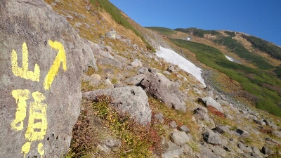 b0148050_812762.jpg