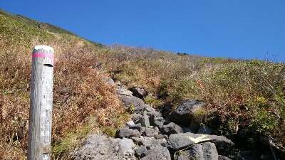 b0148050_8142328.jpg