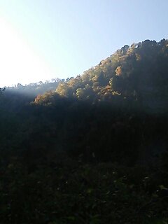 c0073152_22483964.jpg