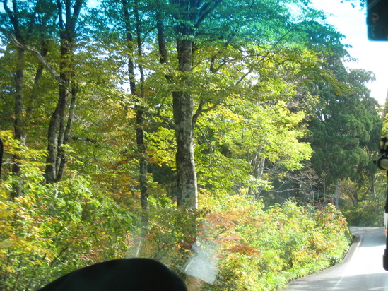 c0073152_2329542.jpg