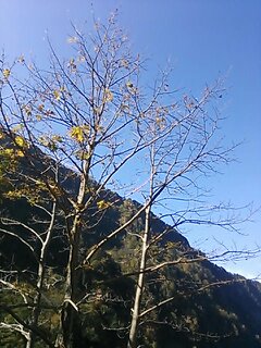 c0073152_2374048.jpg
