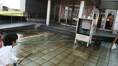 c0208355_1784753.jpg