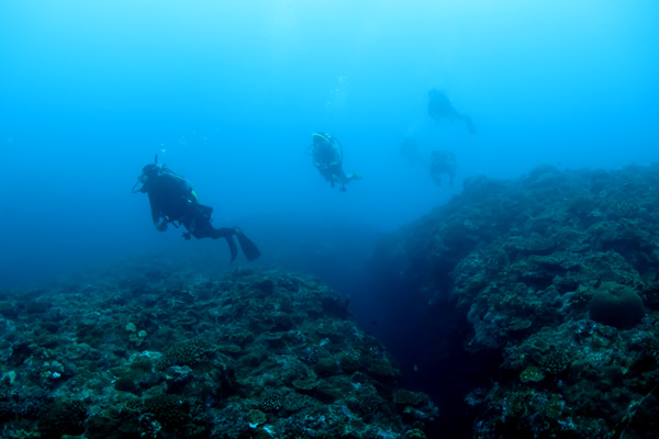 b0062363_16335033.jpg