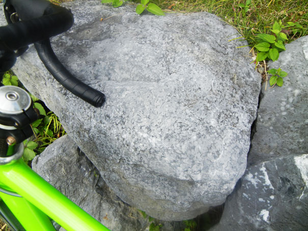 e0074782_20544727.jpg