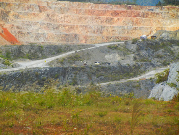 e0074782_2055427.jpg