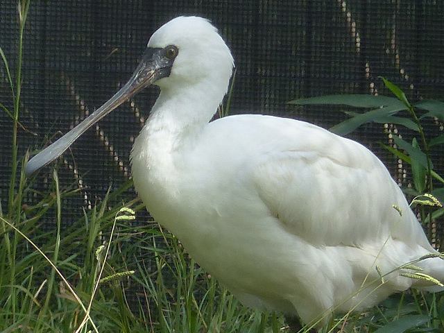 d0088184_22590364.jpg