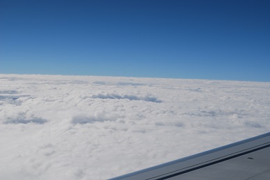 a0133886_1113454.jpg
