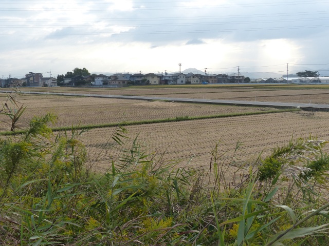 f0357487_22132052.jpg