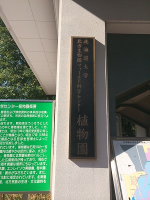 e0209900_204089.jpg