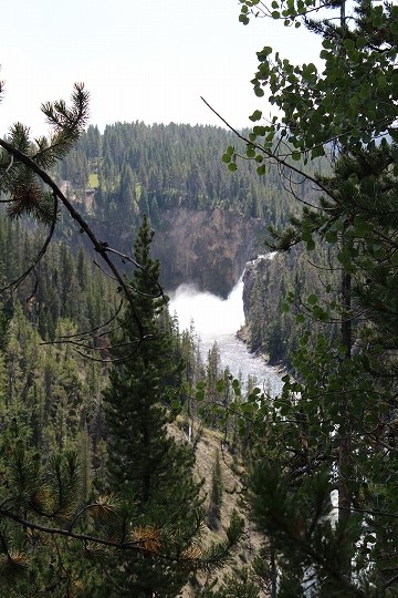 c0153302_15465704.jpg