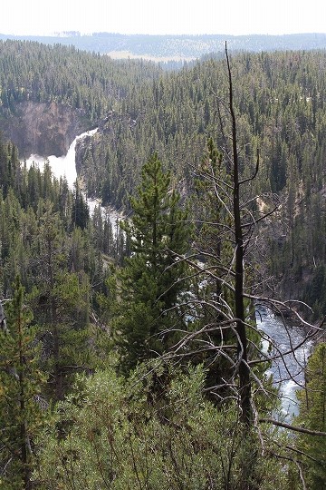 c0153302_15465734.jpg