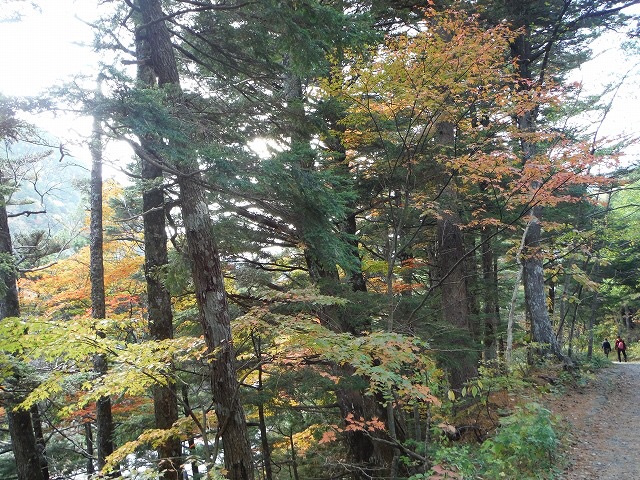 b0326303_18491273.jpg