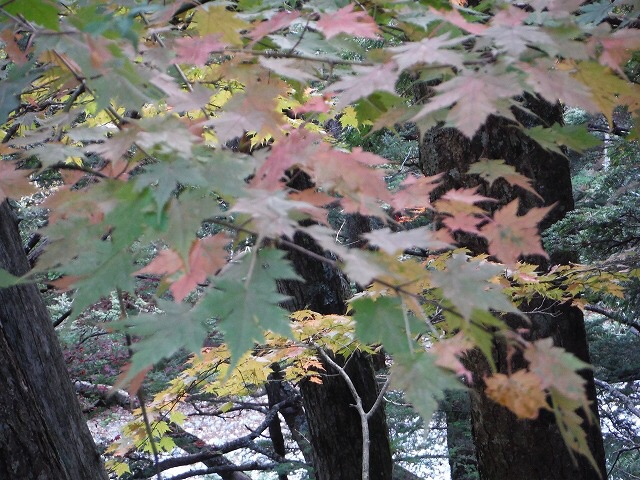 b0326303_18492497.jpg