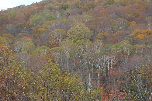f0161708_23231829.jpg