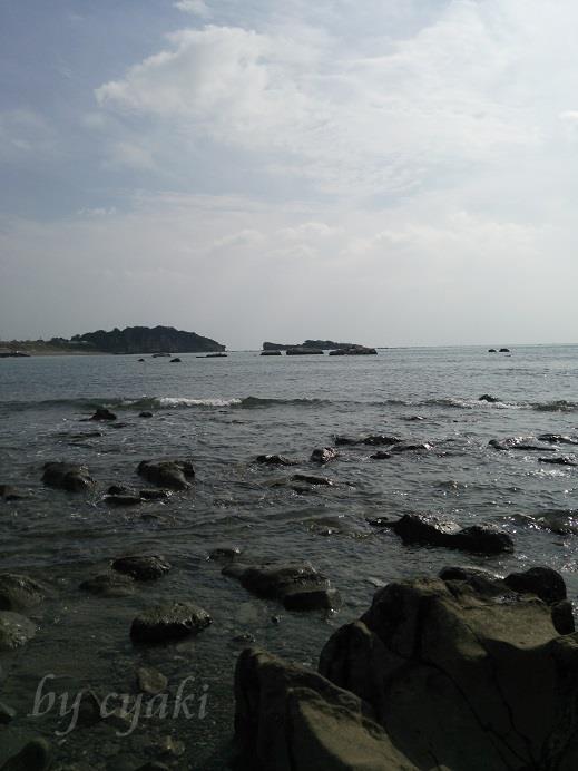 a0078020_13302293.jpg