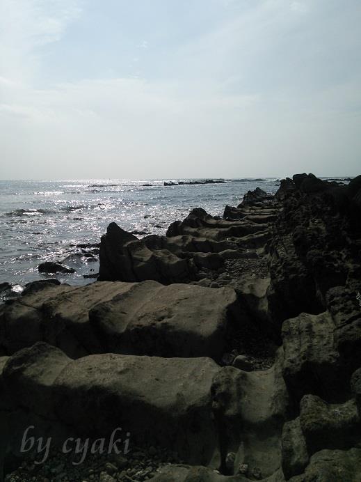 a0078020_1722509.jpg