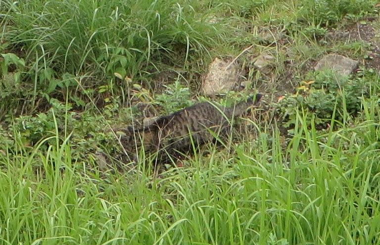 c0280322_17095278.jpg