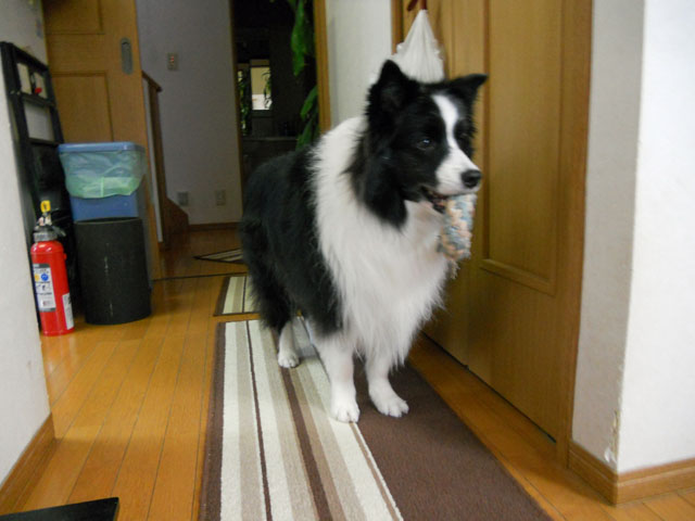 d0059230_84221.jpg