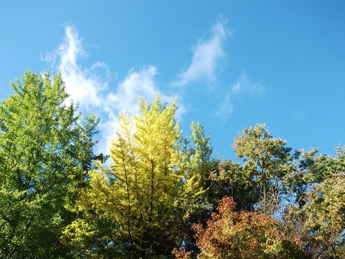 f0304030_10394373.jpg