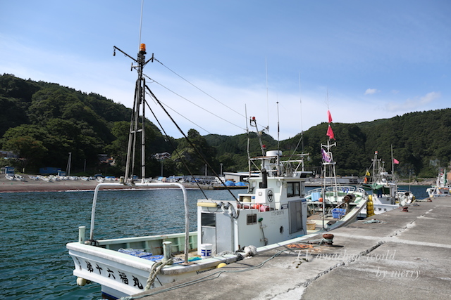 a0207736_012085.jpg