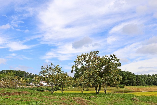 a0242438_18595622.jpg