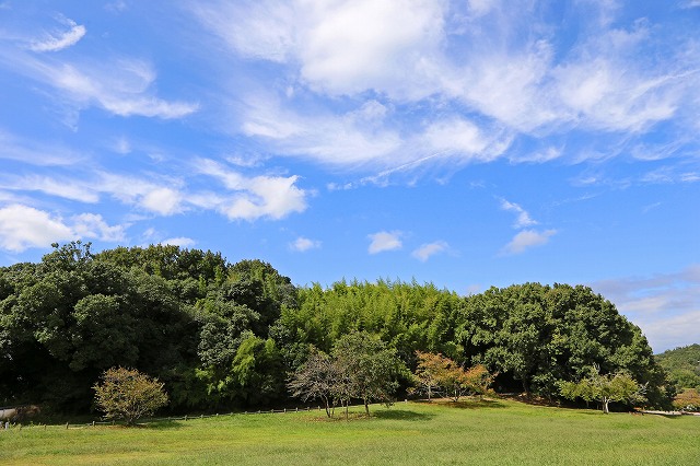 a0242438_194810.jpg