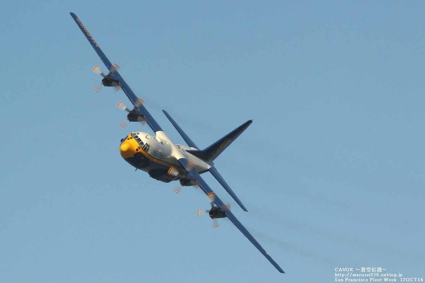 d0193838_7444146.jpg