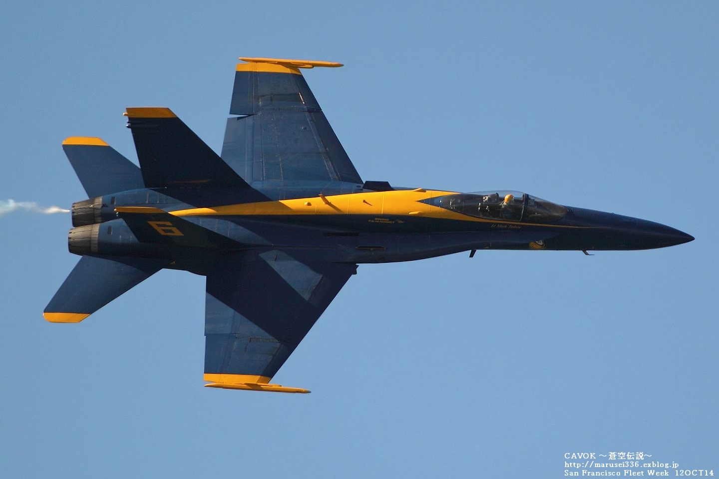 d0193838_7475322.jpg