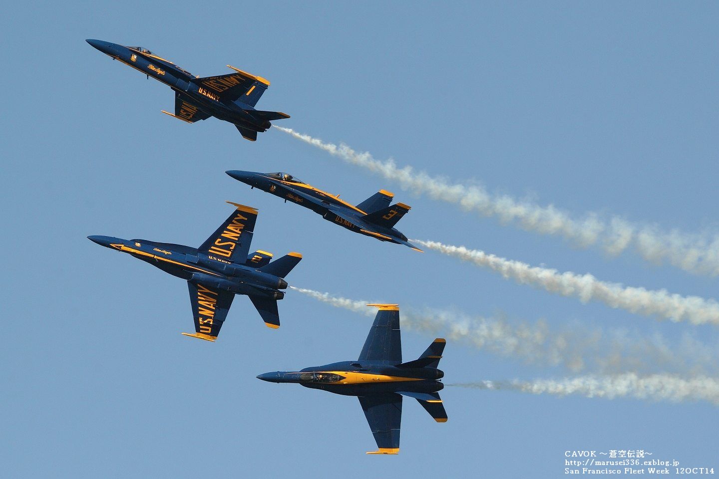 d0193838_7563369.jpg