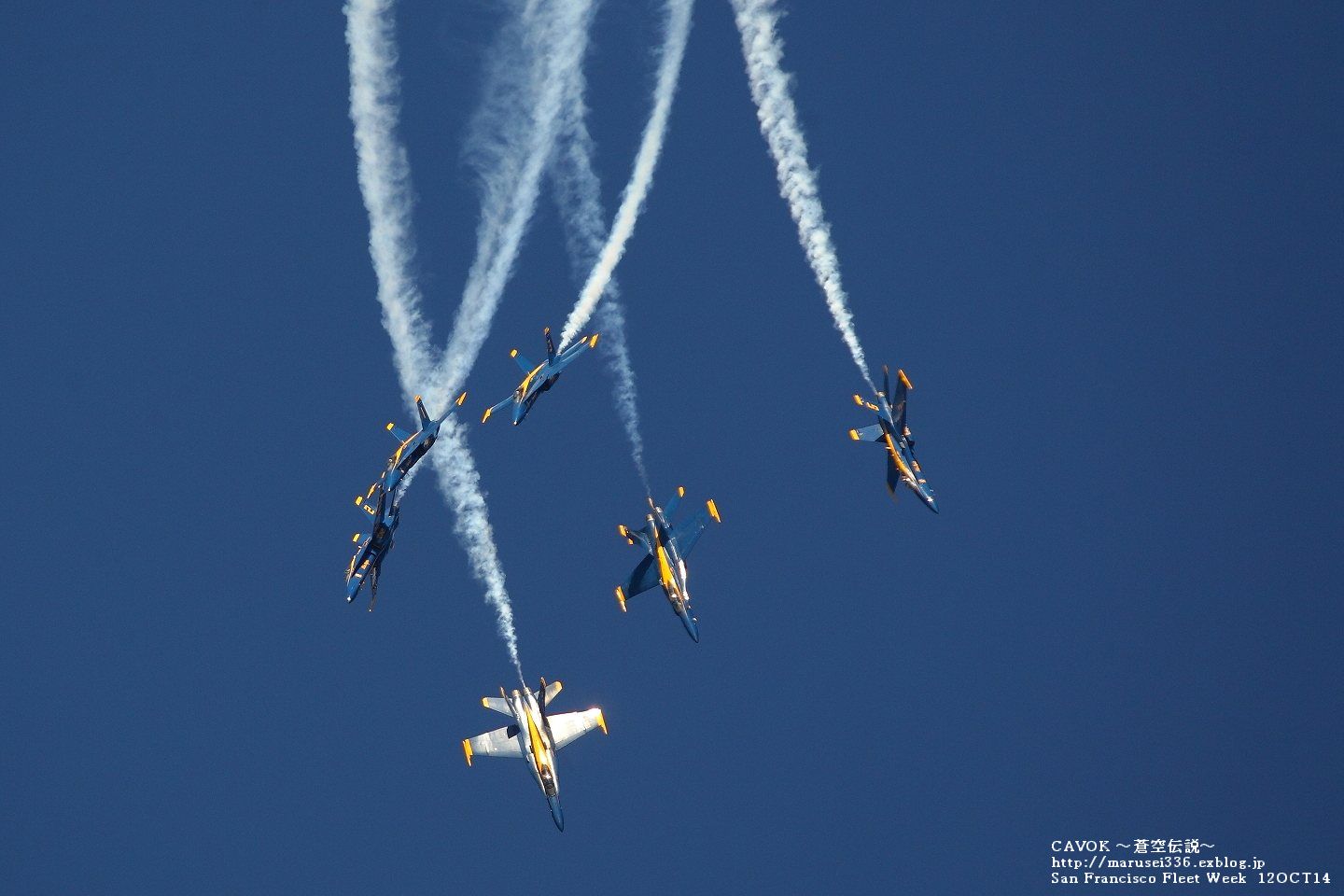d0193838_7594088.jpg