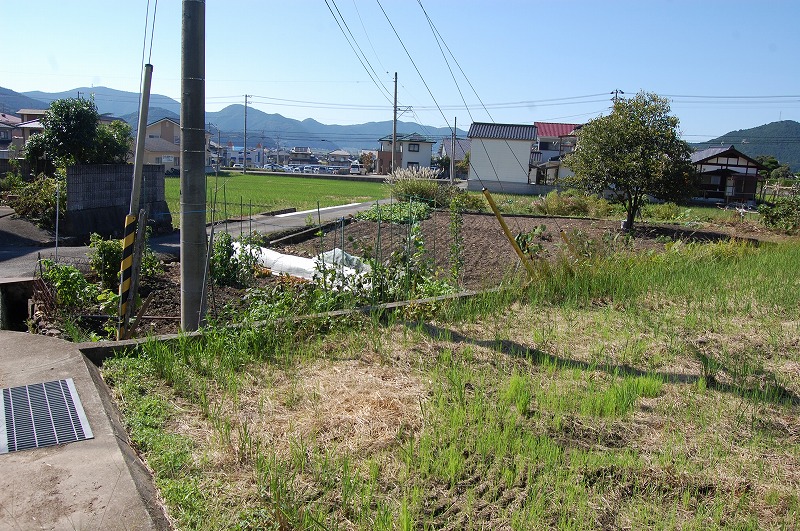 b0082242_1222697.jpg