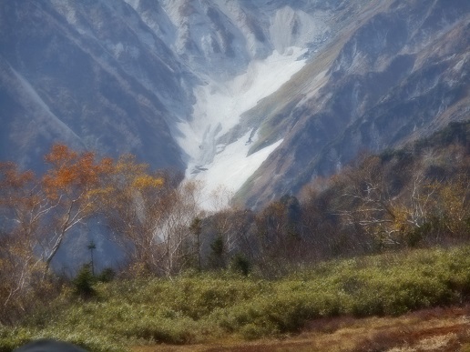 a0124543_1901055.jpg