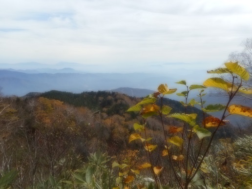 a0124543_1953243.jpg