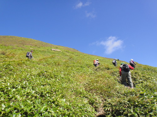 c0179351_10531374.jpg