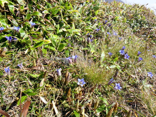 c0179351_10541142.jpg