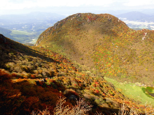 c0179351_1059919.jpg