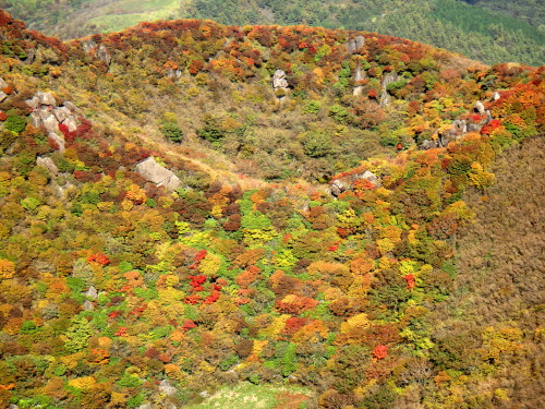 c0179351_1105161.jpg