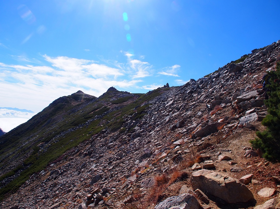 b0335256_21410013.jpg