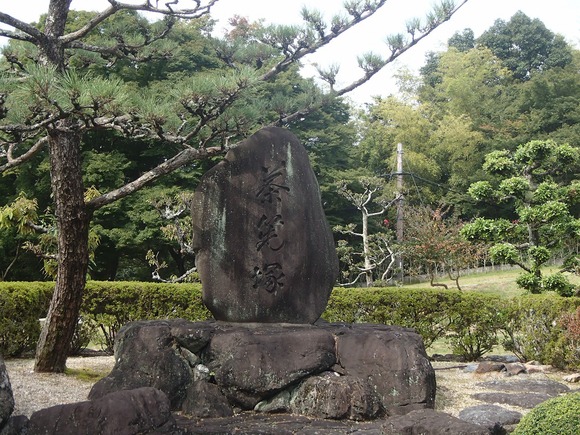 b0044663_1534930.jpg