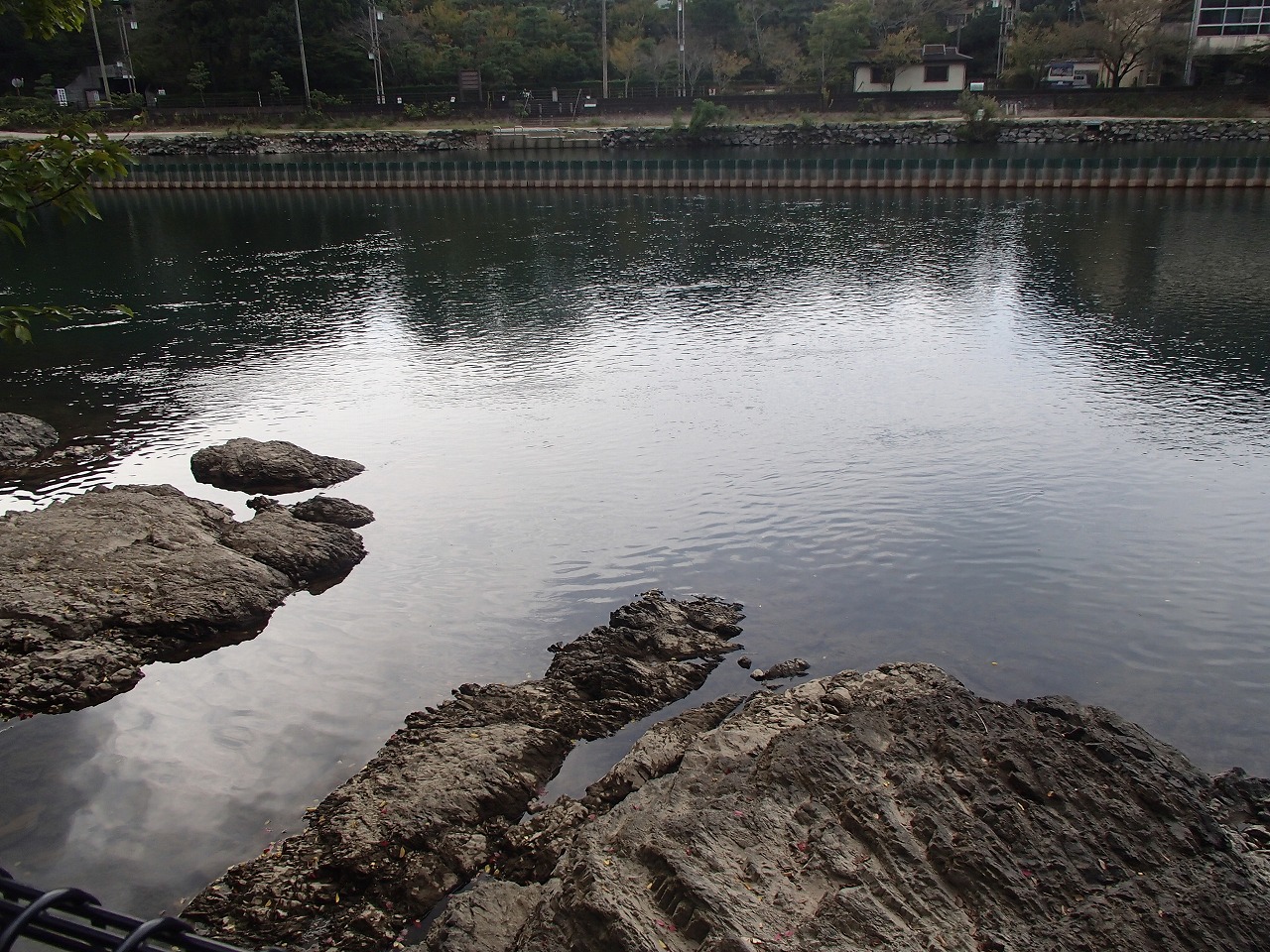b0044663_1545444.jpg